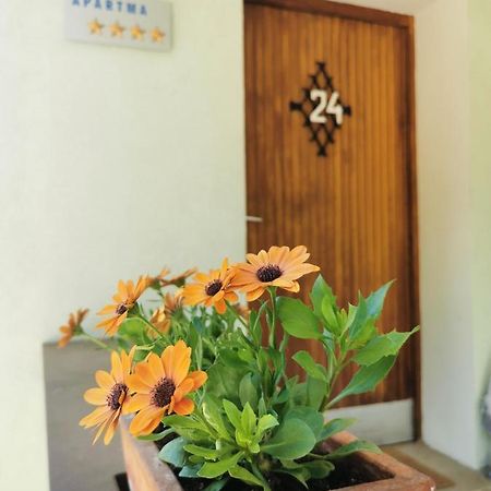 Apartma Rekar - A House, Where You Can Relax In The Embrace Of Nature Jesenice Exteriör bild