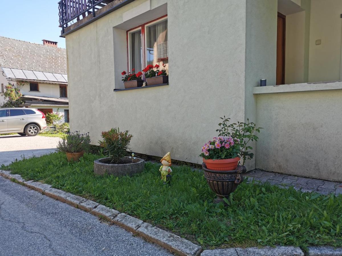 Apartma Rekar - A House, Where You Can Relax In The Embrace Of Nature Jesenice Exteriör bild